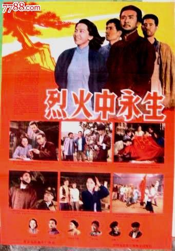 学历证书名称及编号填什么